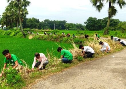 বজ্রপাতের ঝুঁকি কমাতে কুমিল্লায় ৫ হাজার তালবীজ রোপণের কর্মসূচি
