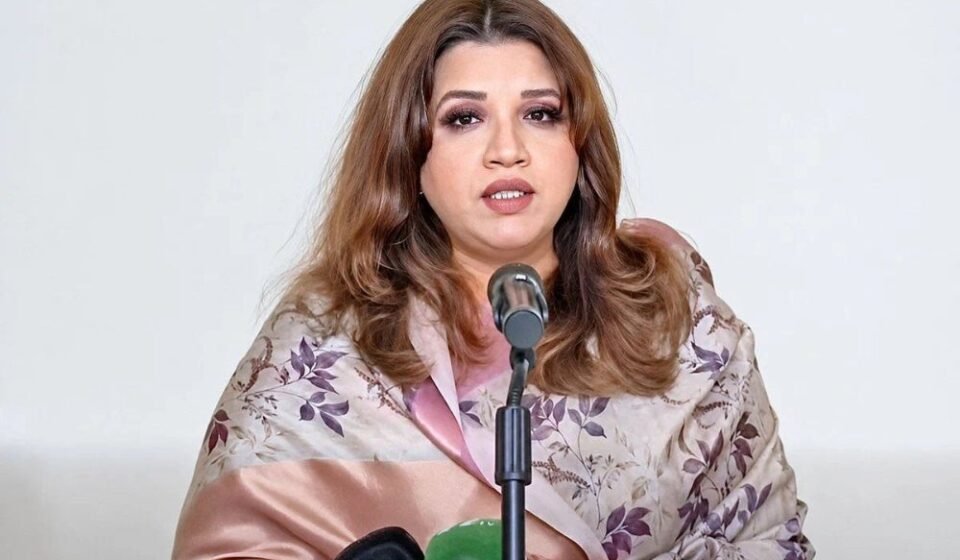 ঢাকায় কার্যালয় খোলার আগ্রহ দেখিয়েছে মেটা: পররাষ্ট্র প্রতিমন্ত্রী