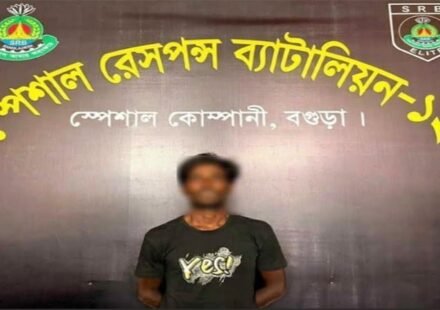 দুপচাঁচিয়ায় বাড়ির উঠানে গাঁজার গাছ, যুবক আটক