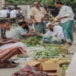 আগাম শীতের সবজির চারা উৎপাদনে ব্যস্ত মুন্সীগঞ্জের কৃষকেরা