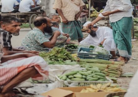 আগাম শীতের সবজির চারা উৎপাদনে ব্যস্ত মুন্সীগঞ্জের কৃষকেরা