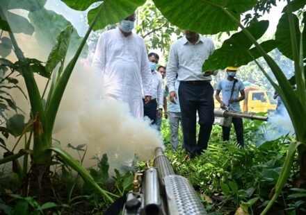ডেঙ্গু প্রতিরোধে সম্মিলিত উদ্যোগের ডাক রাজশাহীর জেলা প্রশাসকের