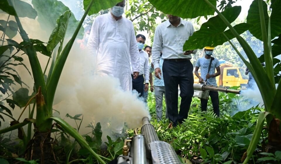 ডেঙ্গু প্রতিরোধে সম্মিলিত উদ্যোগের ডাক রাজশাহীর জেলা প্রশাসকের