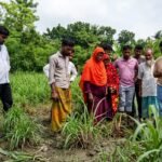 ঝিনাইদহে বিদ্যুতের তার চুরির সময় বিদ্যুৎস্পৃষ্ট হয়ে প্রাণ গেল যুবকের