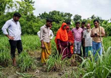 ঝিনাইদহে বিদ্যুতের তার চুরির সময় বিদ্যুৎস্পৃষ্ট হয়ে প্রাণ গেল যুবকের