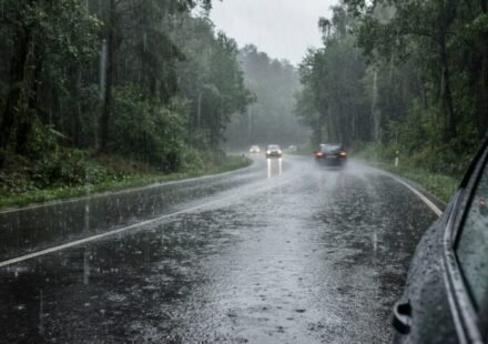 চার বিভাগে হালকা থেকে মাঝারি বৃষ্টির সম্ভাবনা