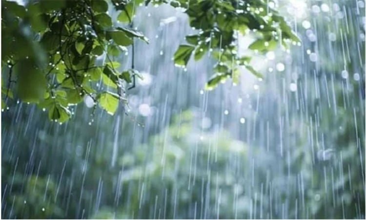 আট বিভাগেই বৃষ্টির আভাস, সারা দেশে সামান্য কমতে পারে তাপমাত্রা