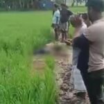 ঘাস আনতে গিয়ে ইঁদুরের বৈদ্যুতিক ফাঁদে বিদ্যুৎস্পৃষ্ট, সেনবাগে কৃষকের মৃত্যু