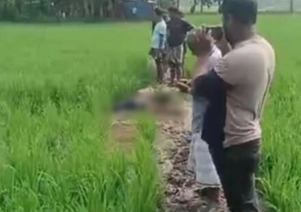 ঘাস আনতে গিয়ে ইঁদুরের বৈদ্যুতিক ফাঁদে বিদ্যুৎস্পৃষ্ট, সেনবাগে কৃষকের মৃত্যু
