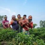 দৌলতপুর সীমান্তে ঘাস কাটতে গিয়ে বিএসএফের ছররা গুলিতে আহত কৃষক, পাল্টা ফায়ার বিজিবির