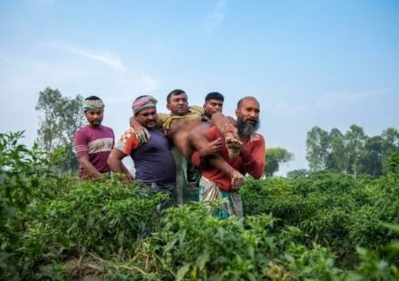 দৌলতপুর সীমান্তে ঘাস কাটতে গিয়ে বিএসএফের ছররা গুলিতে আহত কৃষক, পাল্টা ফায়ার বিজিবির