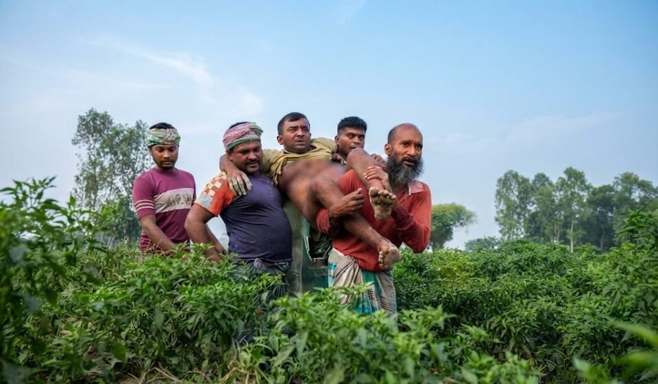 দৌলতপুর সীমান্তে ঘাস কাটতে গিয়ে বিএসএফের ছররা গুলিতে আহত কৃষক, পাল্টা ফায়ার বিজিবির