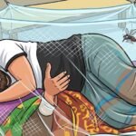 একদিনে ডেঙ্গু নিয়ে হাসপাতালে ১৩৬৬ জন, বছরে মৃত্যু বেড়ে ৩৫৭