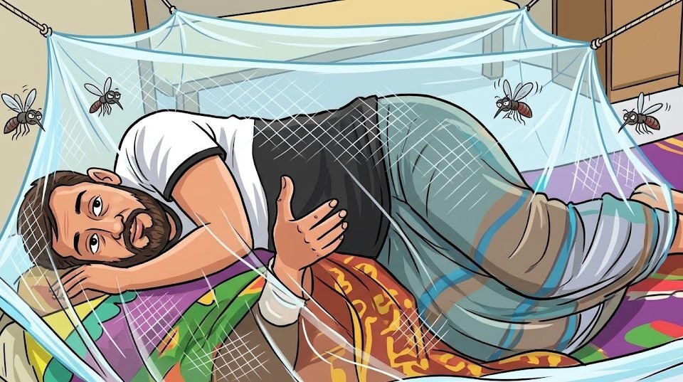 1,366 admitted with dengue in a day, this year's death toll rises to 357