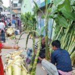 কলাগাছের ড্যাম ২০০ টাকা, পদ্মফুল ২০: লক্ষ্মীপূজার উপকরণ নিয়ে বাবুগঞ্জের গ্রাম থেকে বরিশাল নগরে ১৪ বিক্রেতা, জমে উঠেছে অস্থায়ী বাজার