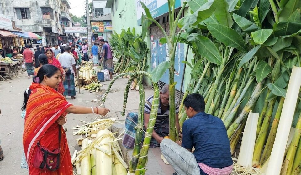 কলাগাছের ড্যাম ২০০ টাকা, পদ্মফুল ২০: লক্ষ্মীপূজার উপকরণ নিয়ে বাবুগঞ্জের গ্রাম থেকে বরিশাল নগরে ১৪ বিক্রেতা, জমে উঠেছে অস্থায়ী বাজার