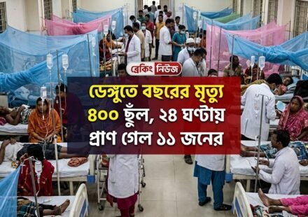 Dengue deaths this year hit 400 as 11 more die in 24 hours